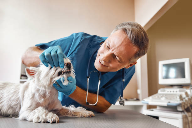 Best 24-Hour Emergency Dentist in Atlantis, FL